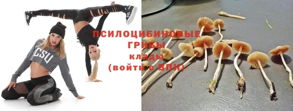 мяу мяу мука Вязники